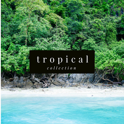 BEACH AND TROPICAL