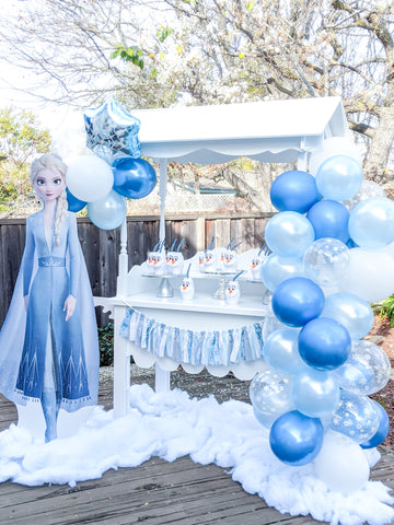 Frozen Balloons  Frozen Party Decorations & Gifts