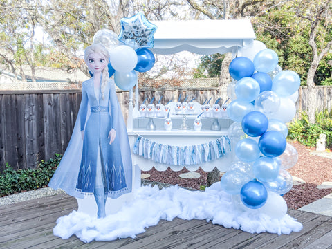 Frozen Princess Girl Birthday Party Theme Ideas, Celebrate with Elsa,  Anna, Olaf and Kristoff