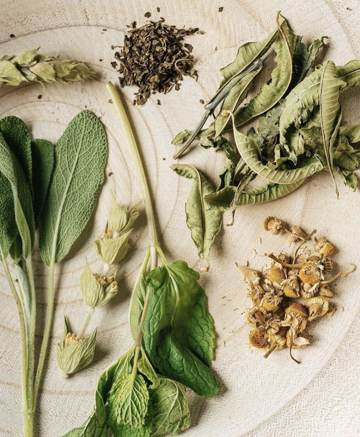 greek herbal mountain teas