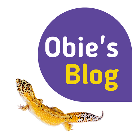 Obie's Blog