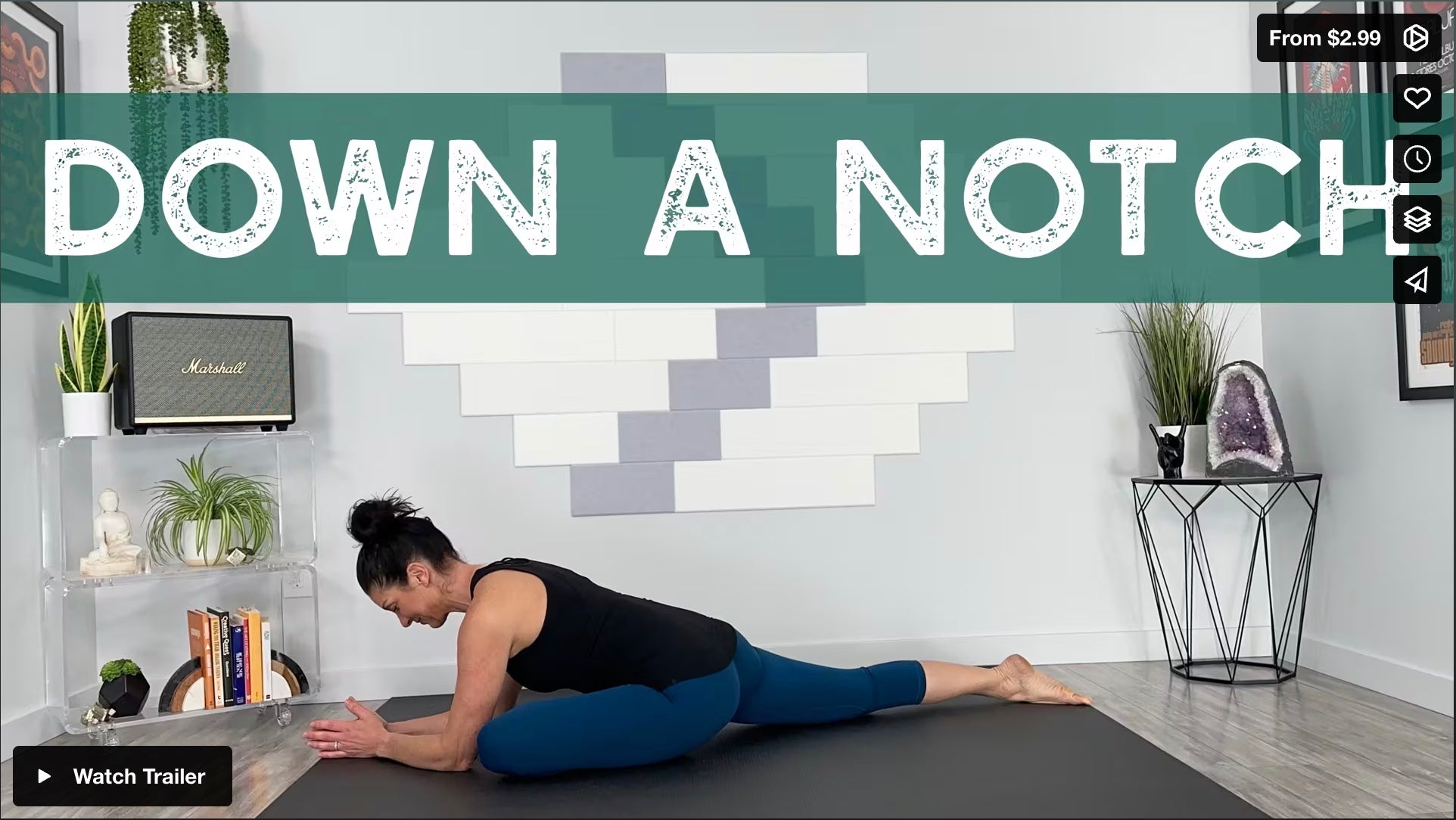 Down A Notch Yoga Home Practice with Gina Caputo Health & Wellness Coach