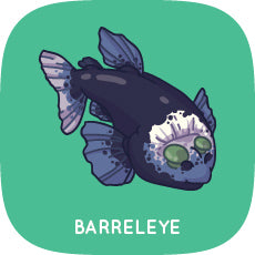 Barreleye