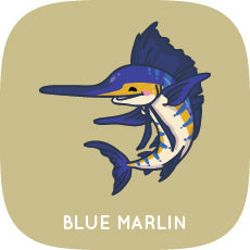 Blue Marlin