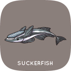 Suckerfish