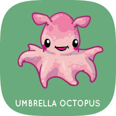 Umbrella Octopus