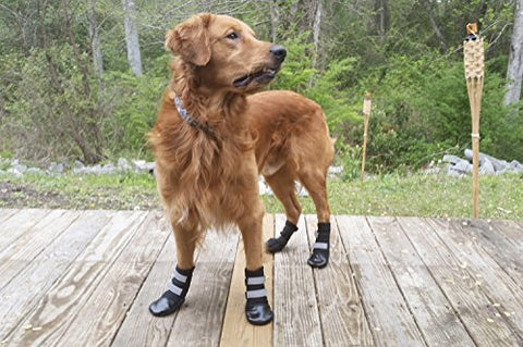 The Ins And Outs Of Dog Shoes What Are The Advantages Of Shoes