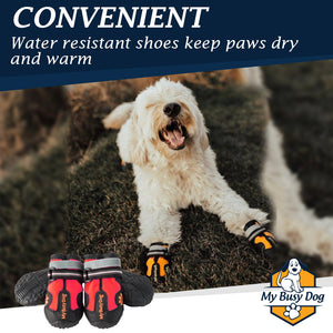 dog paw shoes