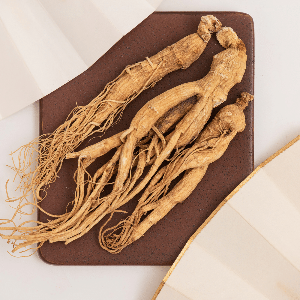 人蔘 (Ginseng)