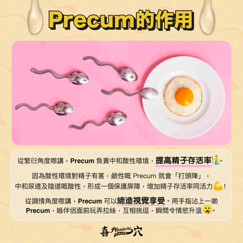 Precum的作用