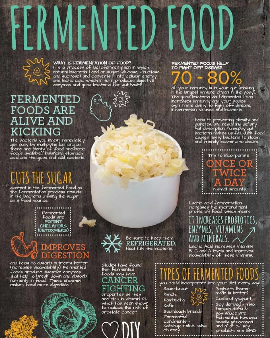 lactic acid fermentation food