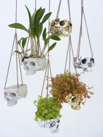 Skull Planters 