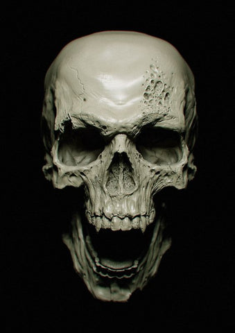 Skull Representation