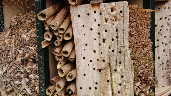 Bienenhotel Bienen Haus Tipps retten