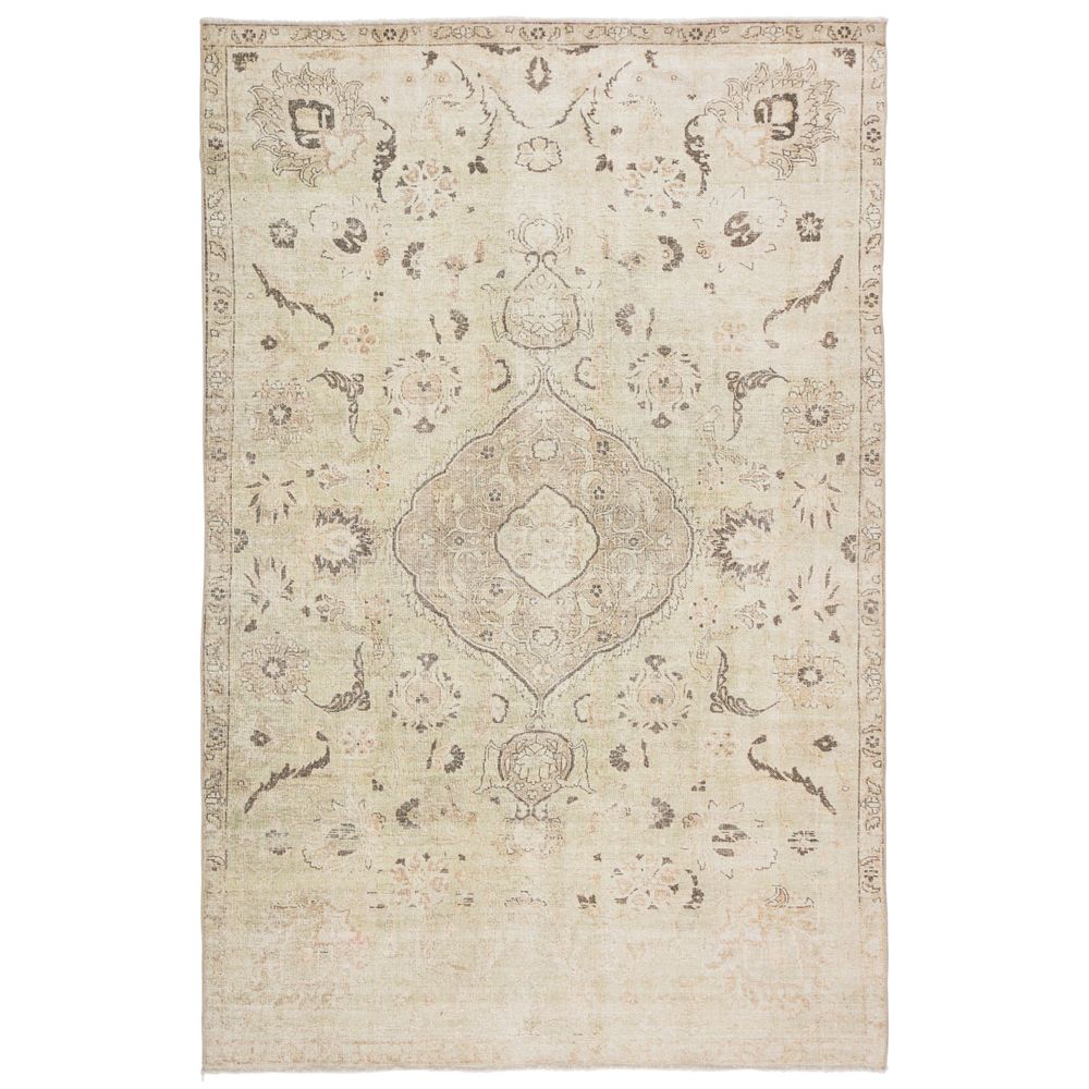 10'X14' Saguaro Medallion Green/Gray Area Rug