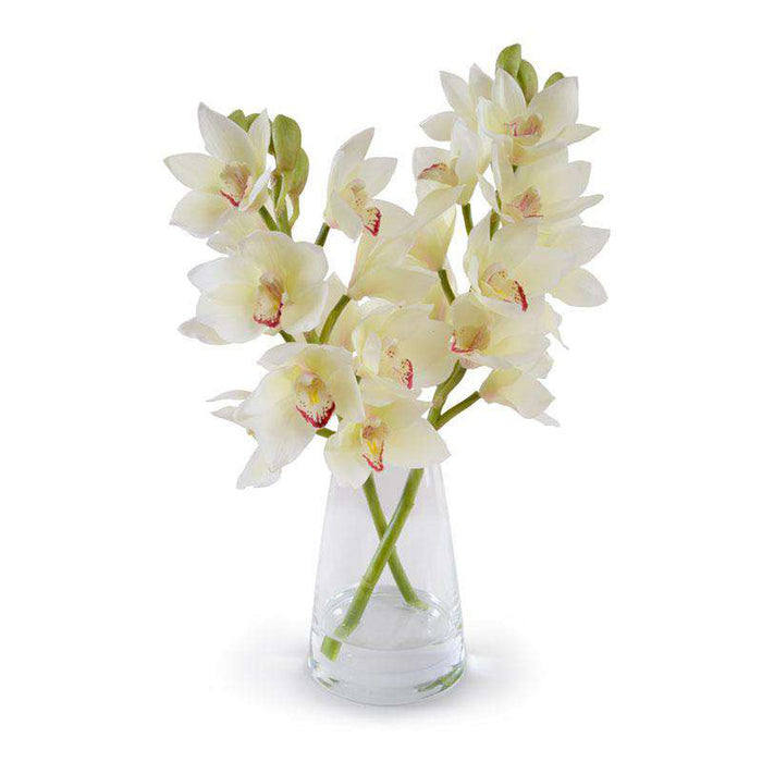 Ngd 15909wh New Growth Design White Cymbidium Orchid Arrangement — France And Son