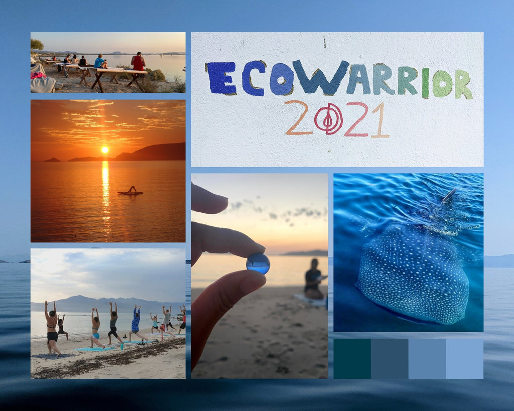 A Drop in the Ocean Shop Baja EcoWarrior Retreat