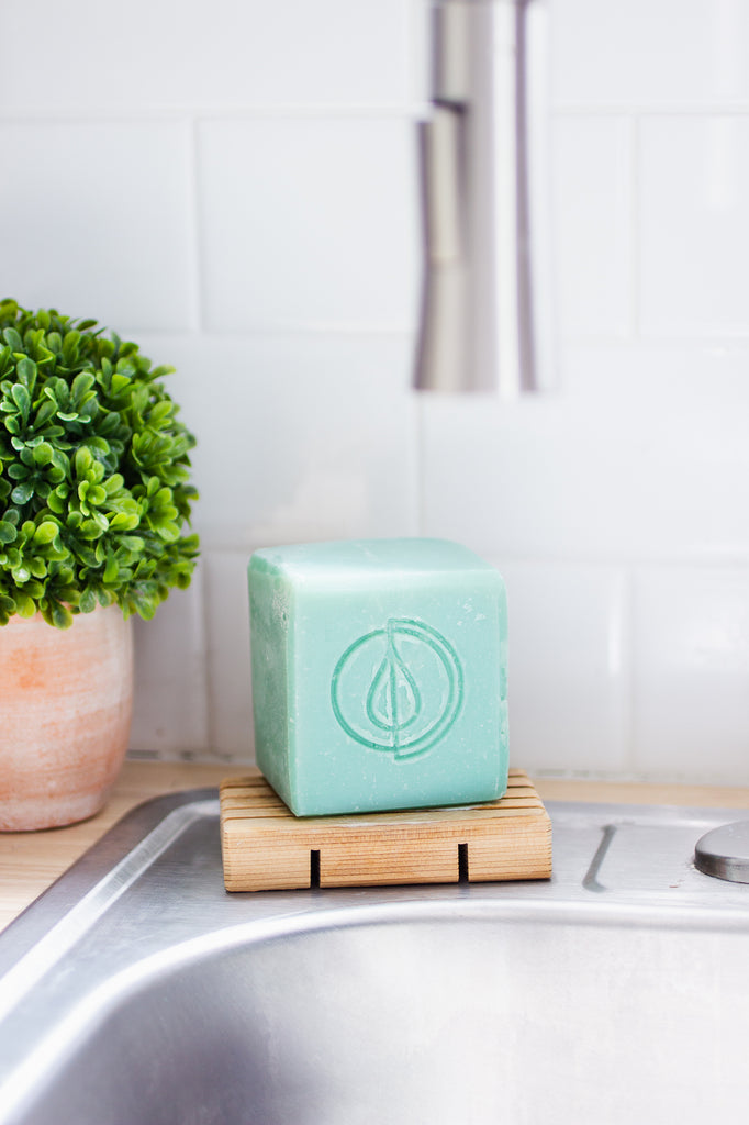 A Drop in the Ocean Sustainable Living Zero Waste Shop Dish Soap Bar