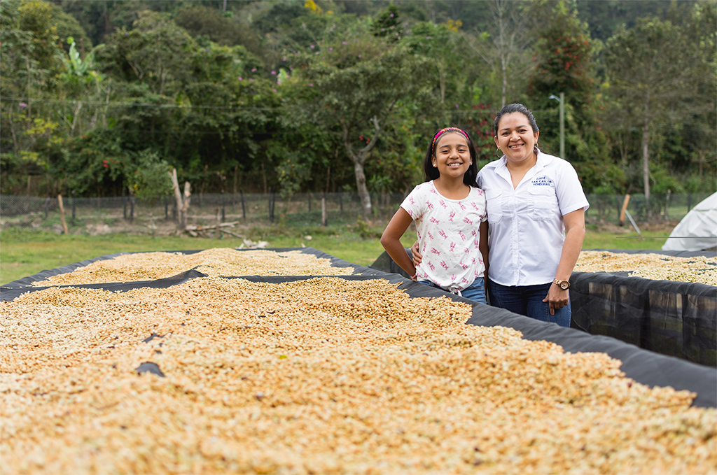 Honduras Coffee