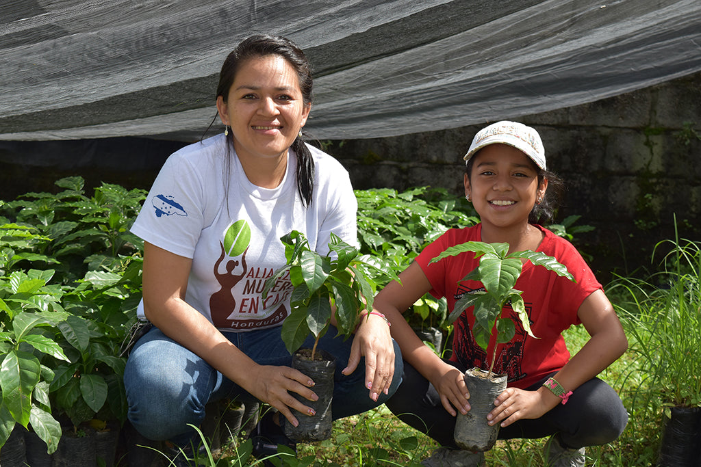 Honduran Coffee