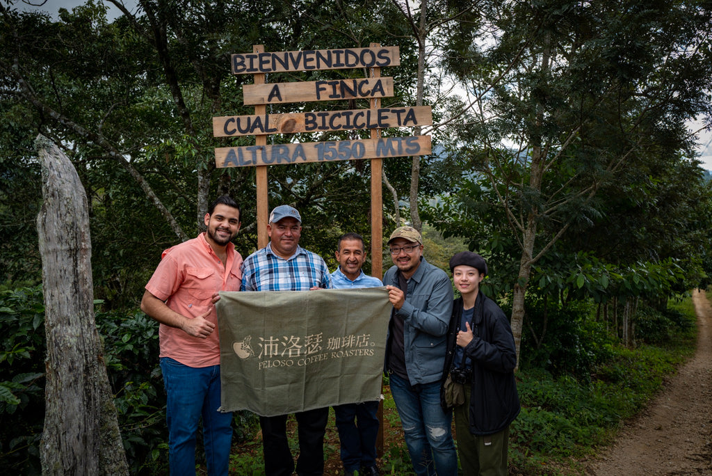 HONDURAN COFFEE