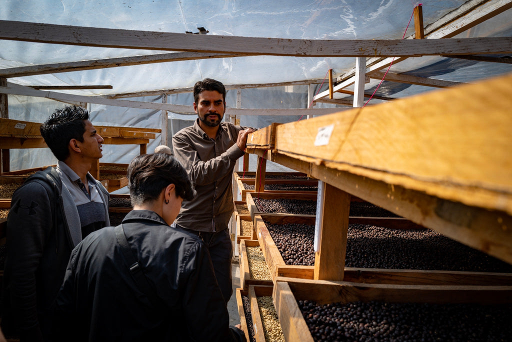 Honduran Coffee