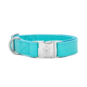 Dog Collar - Icy Blue Deluxe & High Quality Collar | iDoggos