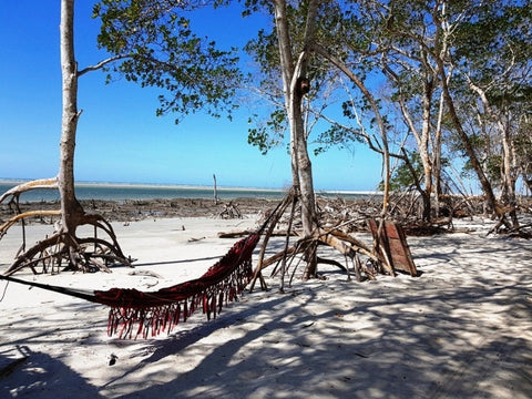 Jericoacoara Barthelemy