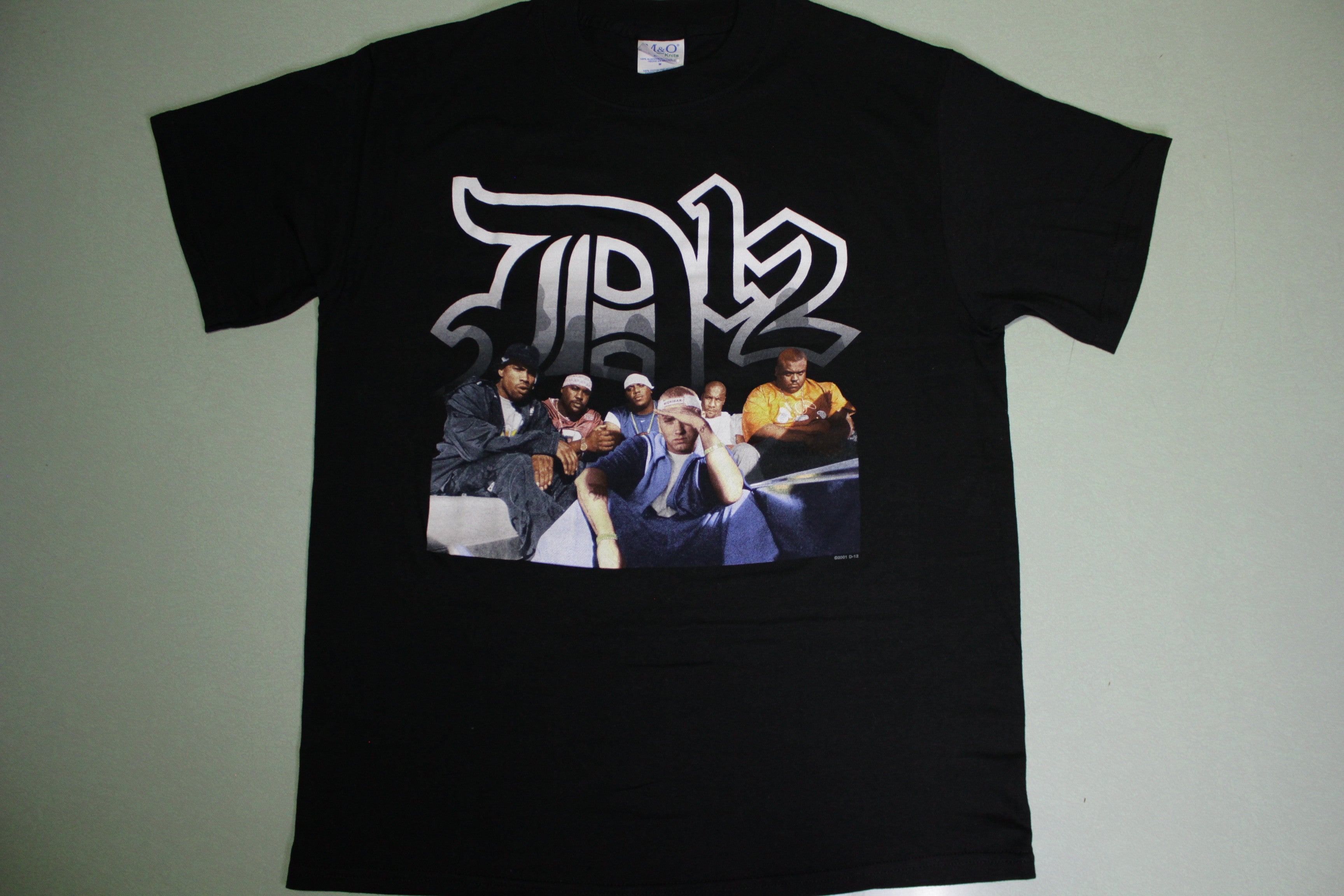 D12 2001 Vintage Eminem Band Photo 00's Rap Tee T-Shirt – thefuzzyfelt