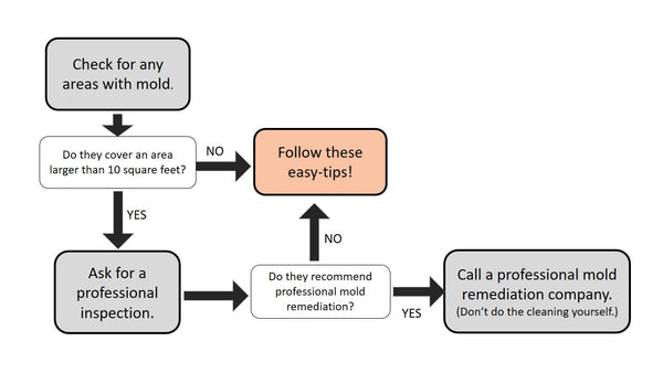 Do I need professional mold remediation?