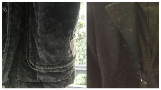 Mildew in clothes due to high humidity