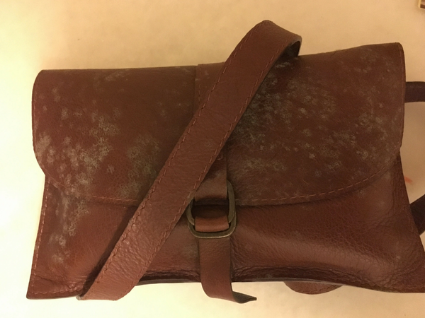 Mildew in leather due to high humidity