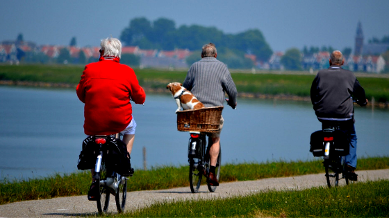 Old men riding bikes