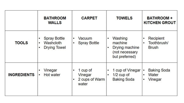 Table 1 Ingredients needed for cleaning mold in bathroom, carpet, towels