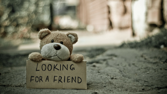 Teddy bear looking for friends