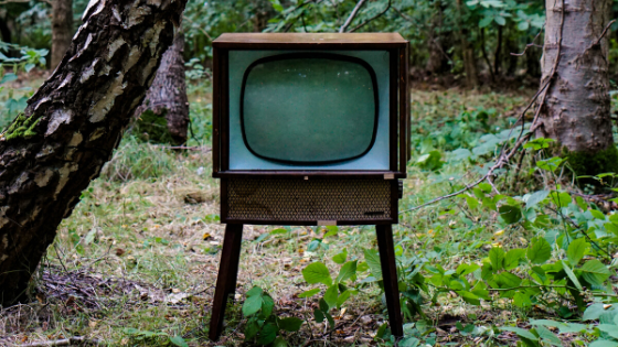 tv in forest