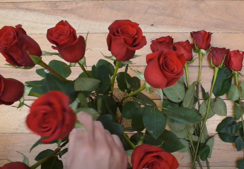 Arranging red roses bouquet