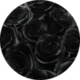 black roses