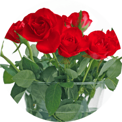 aspirin for cut roses