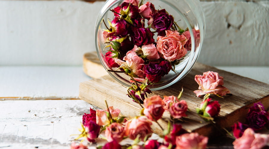 Dried Roses