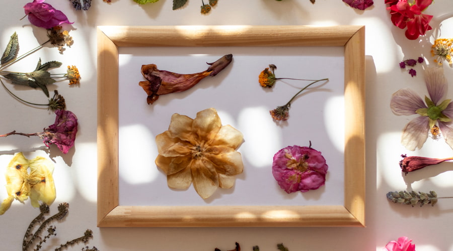 Stained Glass Frame, Pressed Flower Frame, Pressed Plant Frame, Pressed  Flowers, Framed Dried Flowers 