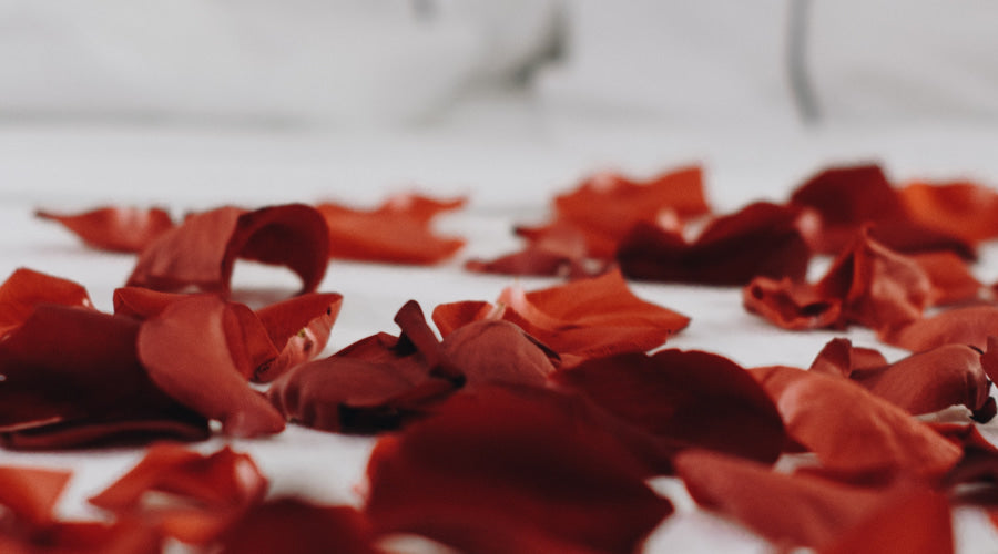 5 Ideas to Decorate a Bed with Rose Petals – Rosaholics