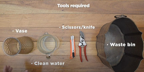 Tools for flowers care: scissors, waste bin, clean water, a vase