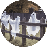 Ghosts on the Fence