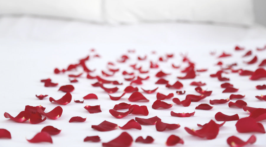 Rose Petals on the Bed.