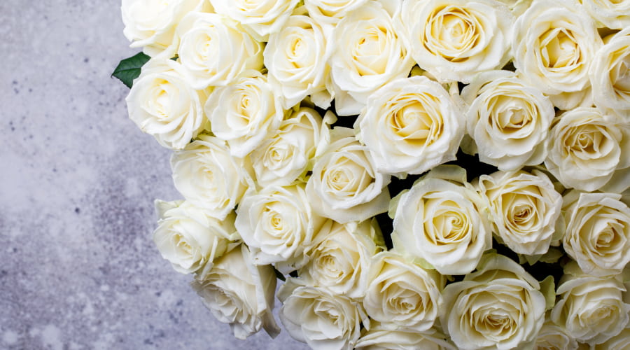 white roses