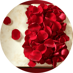 How to preserve rose petals?