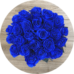 dark blue roses