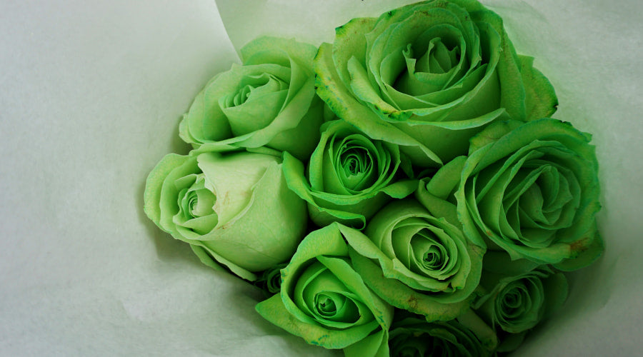 7 Best Bouquets to Give on St. Patrick's Day – Rosaholics