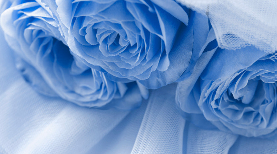 The Mystery of Blue Roses - Roses Delivery 